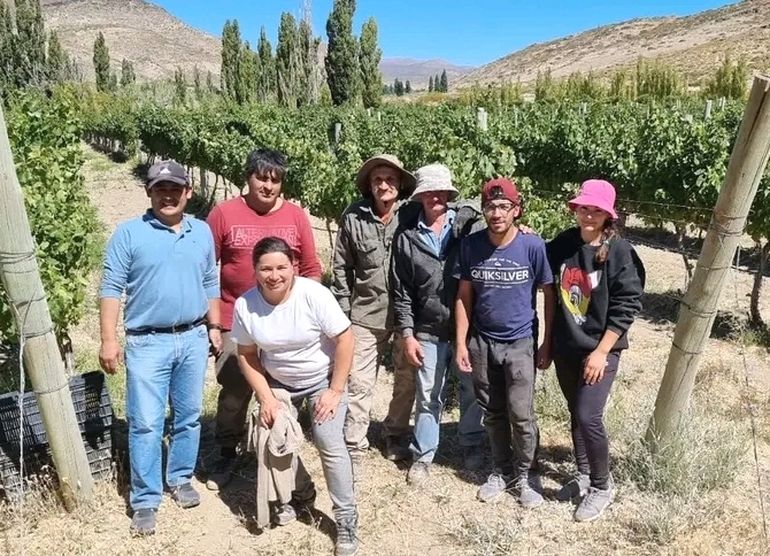 Ceferino Liberatori y sus colaboradores, en el viñedo. Ceferino Liberatori y sus colaboradores, en el viñedo.
