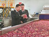 La caída en los volúmenes productivos convive con una estrategia exportadora más activa y orientada a mercados clave.
