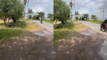 Denunciaba en vivo la presencia de baches y le dispararon a quemarropa desde una moto en México. Denunciaba en vivo la presencia de baches y le dispararon a quemarropa desde una moto en México.