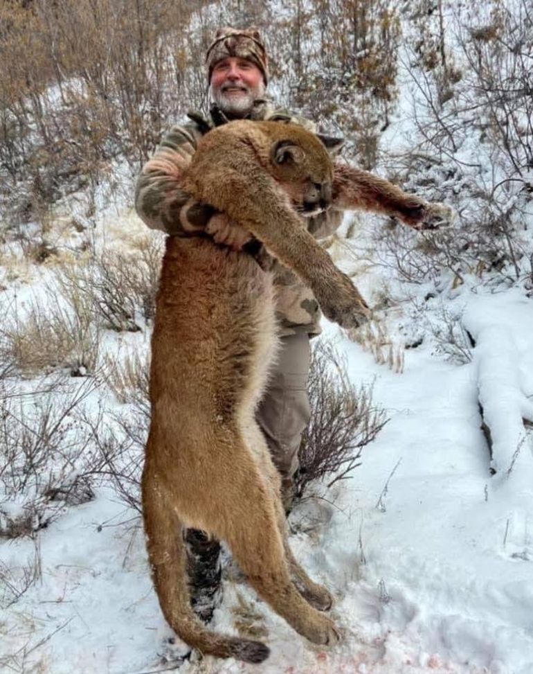 Tragedia en un safari de caza: un millonario estadounidense murió atacado por un búfalo. Tragedia en un safari de caza: un millonario estadounidense murió atacado por un búfalo.