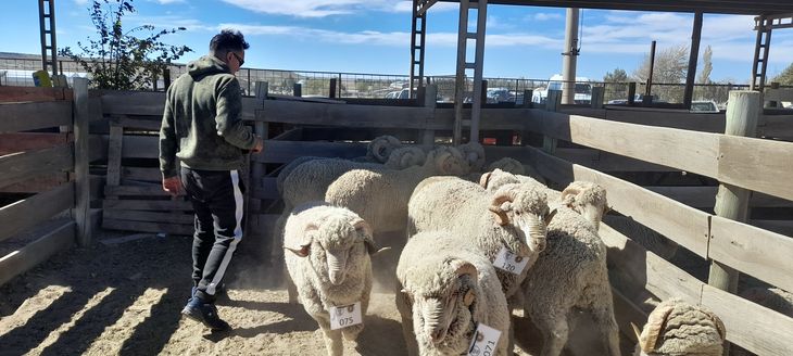 La inversión en el campo en estos últimos años ha sido permanente. La inversión en el campo en estos últimos años ha sido permanente.