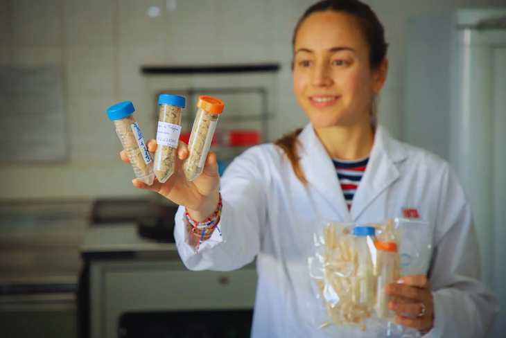 Esta innovación permite valorizar los descartes y generar ingredientes funcionales con potencial aplicación en alimentos, nutracéuticos y suplementos. Foto: INTA Esta innovación permite valorizar los descartes y generar ingredientes funcionales con potencial aplicación en alimentos, nutracéuticos y suplementos. Foto: INTA