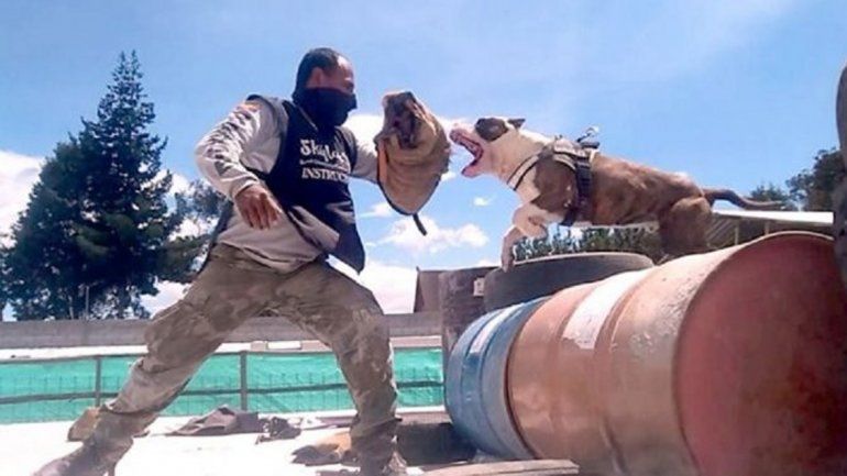 Los narcos de la provincia de San Juan se protegen de la Policía con el accionar de los perros