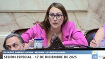 El estreno de Gabriela Muñoz como diputada nacional.