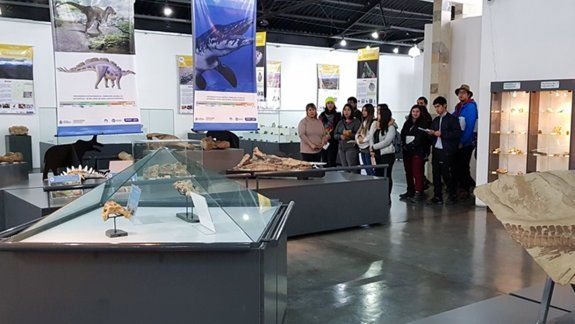 Zapala tiene una de las mayores colecciones de dinos marinos