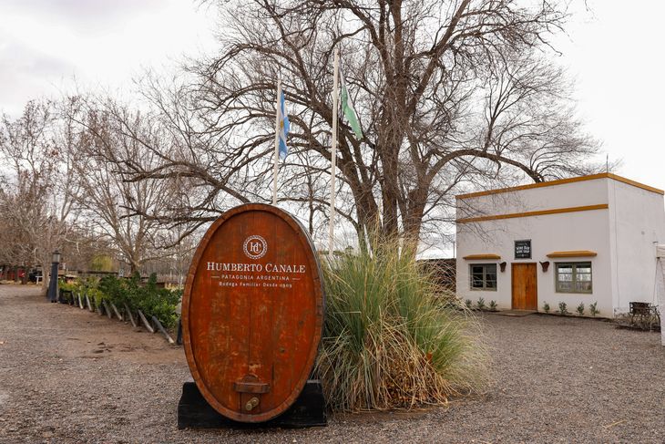 Destacan el enorme potencial que tienen los Vinos de la Patagonia