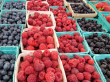 La Feria de Frutas Finas regresa a la plazoleta de Av. Argentina y San Martín.