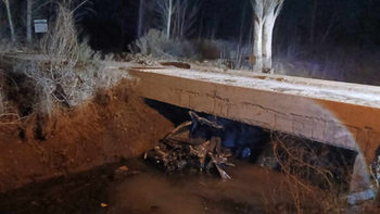Un caballo se cruzó en la Ruta 7, lo chocaron y terminaron dentro de un canal Un caballo se cruzó en la Ruta 7, lo chocaron y terminaron dentro de un canal