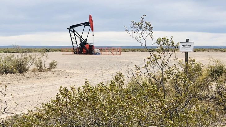 Río Negro declaró la caducidad de las concesiones de President Petroleum este jueves. Río Negro declaró la caducidad de las concesiones de President Petroleum este jueves.
