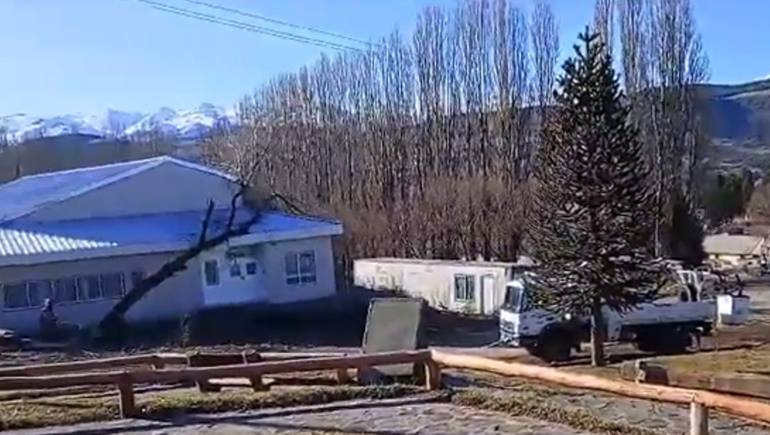 A días de la inauguración, podan un árbol y se cayó sobre la guardería municipal de Aluminé