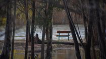 temporal en neuquen: el ultimo anuncio sobre la crecida del rio temporal en neuquen: el ultimo anuncio sobre la crecida del rio