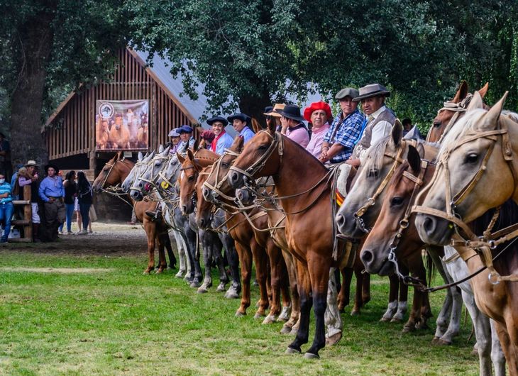 La próxima comenzará la 13ª Exposición de Caballos de la Patagonia. Foto: gentileza SRN. La próxima comenzará la 13ª Exposición de Caballos de la Patagonia. Foto: gentileza SRN.