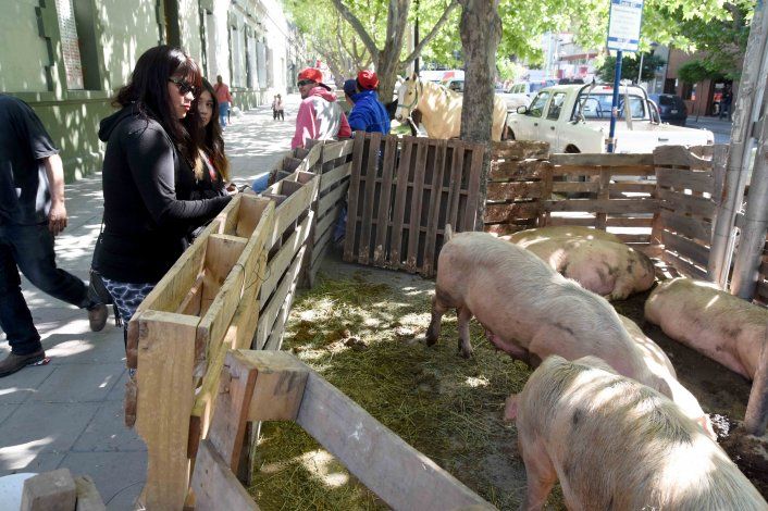 Les darán otras tierras a los productores de Colonia San Francisco