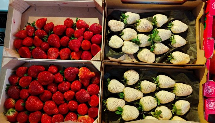 La evolución del producto, de una fruta casi albina a otra de profundo color rojo. La evolución del producto, de una fruta casi albina a otra de profundo color rojo.