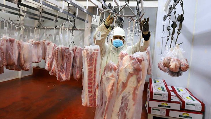 C&oacute;mo una empresa produce casi tres millones de kilos de carne porcina al a&ntilde;o en pleno desierto patag&oacute;nico