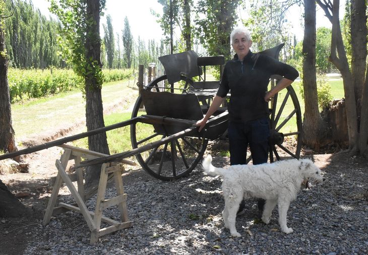 Carlos Tronelli, al frente de la bodega familiar que ya suma casi 100 años de historia. Hoy, la producción está enfocada en vinos de calidad y varietales puros. Foto Fabricio González.