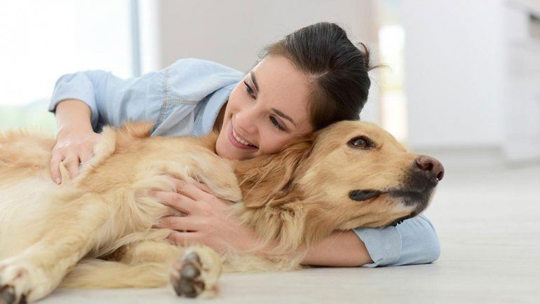 Acariciar animales, el mejor remedio para liberarse del estrés