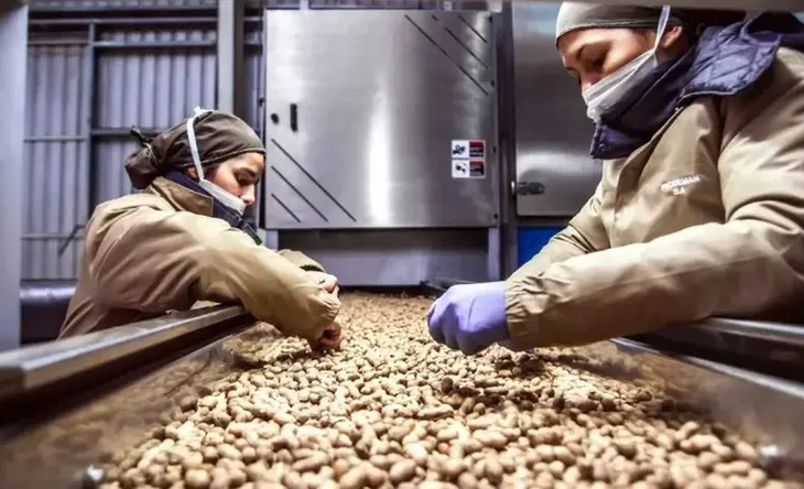 Córdoba concentra el 90% de las exportaciones de maní de Argentina. Córdoba concentra el 90% de las exportaciones de maní de Argentina.