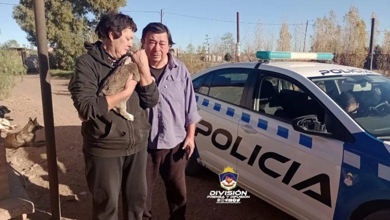 Denunció que le reventaron la reja y se llevaron hasta una coneja