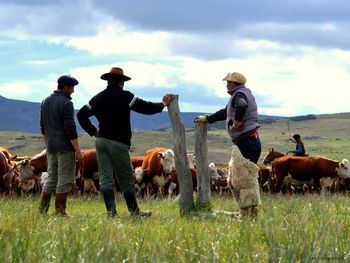En sesiones extraordinarias se tratarán cuatro reformas de alto impacto para la Patagonia. Foto: Leo Casanova-SRN&nbsp;