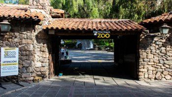 Indignación por la muerte de más de 50 animales en el zoológico de Mendoza. Indignación por la muerte de más de 50 animales en el zoológico de Mendoza.