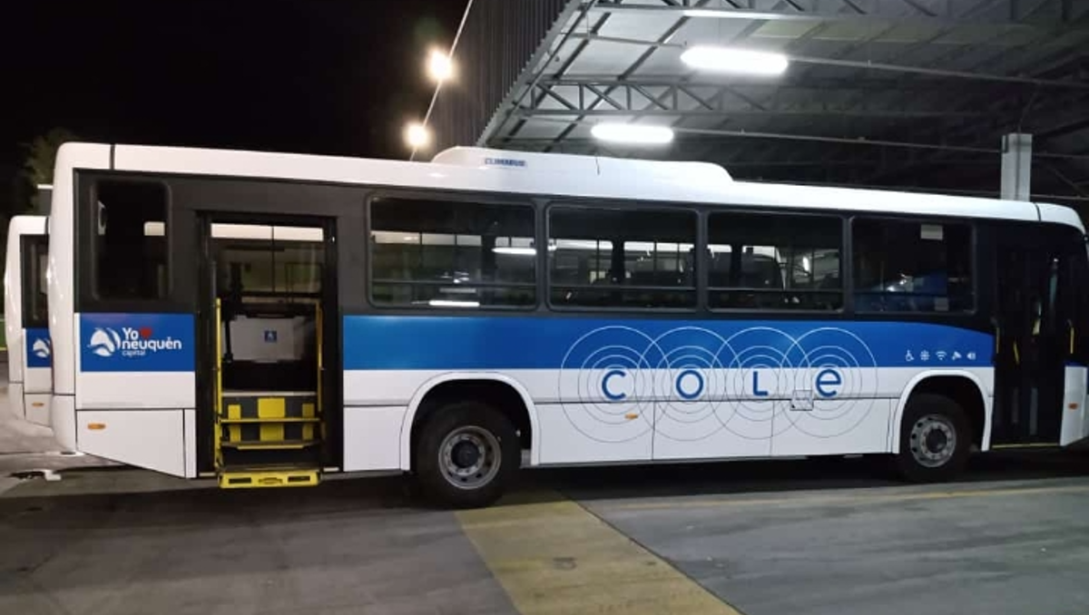 Cómo son los nuevos colectivos que van a recorrer toda la ciudad