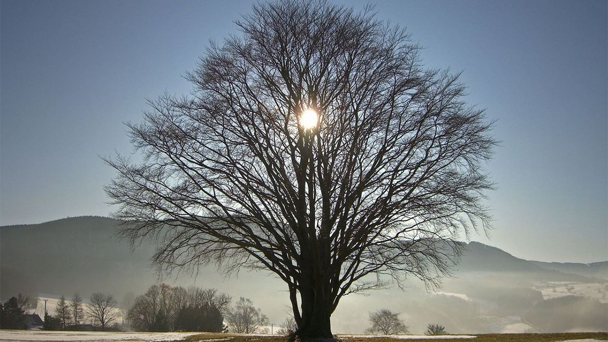 Solsticio de invierno: ¿A qué hora será y cuánto durará la noche más larga en Argentina?