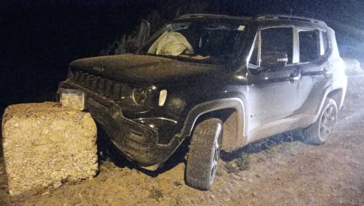 Robaron una camioneta en La Pampa y apareció chocada en Vista Alegre