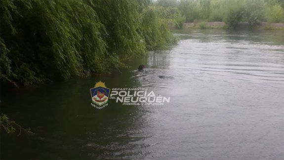 Hallaron muerto al hombre desaparecido en el río Neuquén