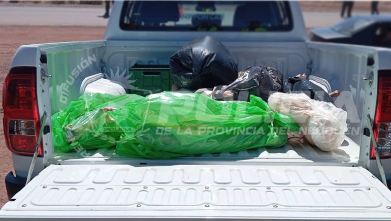 Por transporte ilegal, secuestraron más de 10 animales faenados
