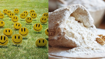 por que se celebra este 20 de marzo el dia de la felicidad y de la harina por que se celebra este 20 de marzo el dia de la felicidad y de la harina