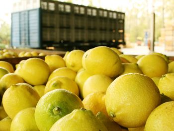 La reestructuración de deuda de la principal exportadora de limón expone tensiones financieras, pérdida de competitividad y señales de alerta que atraviesan a todo el sector frutícola. La reestructuración de deuda de la principal exportadora de limón expone tensiones financieras, pérdida de competitividad y señales de alerta que atraviesan a todo el sector frutícola.