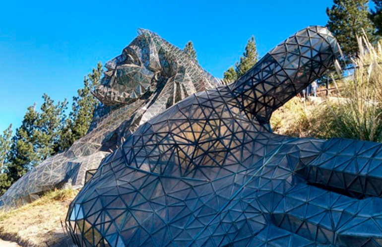 Junín de los Andes tiene el