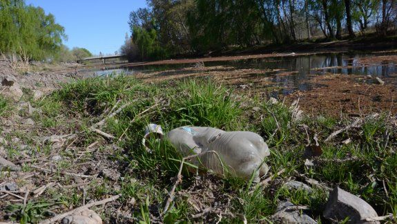 El río Limay con su peor cara. El verano pasado el balneario Albino Cotro no fue habilitado por la contaminación. Esta temporada estival pasaría lo mismo.