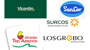 ¿por que se derrumban grandes empresas del agro argentino? ¿por que se derrumban grandes empresas del agro argentino?