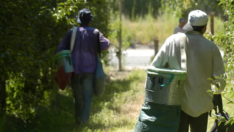 El hecho fue en San Patricio del Chañar.