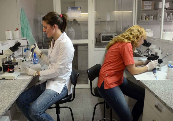 Desde la Secretaria de Ciencia y Técnica señalaron que estos proyectos de investigación “no corren riesgo” a pesar del ajuste del gobierno nacional. Desde la Secretaria de Ciencia y Técnica señalaron que estos proyectos de investigación “no corren riesgo” a pesar del ajuste del gobierno nacional.