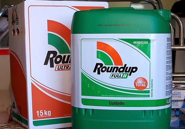 Prueban que el herbicida glifosato es un producto cancerígeno