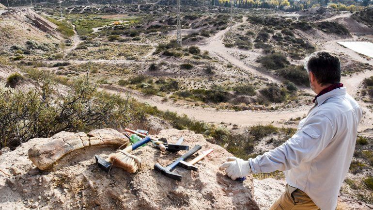 La UNCo y un encuentro de tres días para los apasionados de los dinos