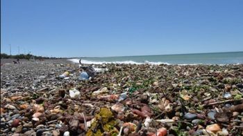 El último fin de semana la costa de Playa Unión apareció llena de desechos de la pesca. | LM Neuquen El último fin de semana la costa de Playa Unión apareció llena de desechos de la pesca.