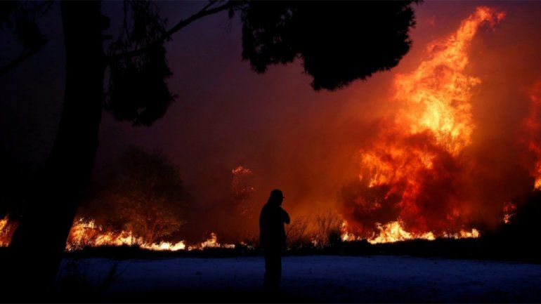 Al menos 50 muertos por los incendios forestales en Grecia