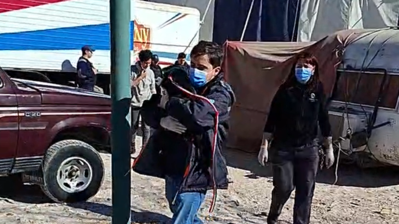 La Justicia en conjunto con la Policía de Río Negro y la Municipalidad de Fernández Oro, rescataron 10 perros del circo.