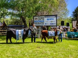Se acerca la Expo Bovinos, marco de la segunda edición del Foro Ganadero Patagónico. Foto: gentileza SRN Se acerca la Expo Bovinos, marco de la segunda edición del Foro Ganadero Patagónico. Foto: gentileza SRN