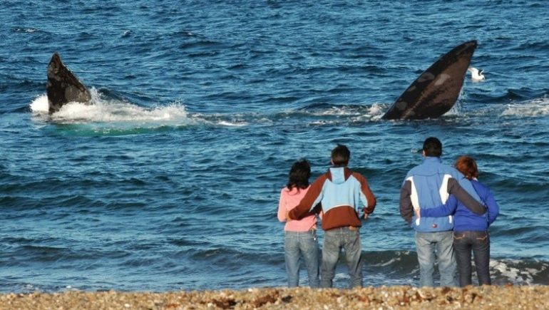 Avistaje de ballenas desde la costa en la playa El Doradillo de Chubut. Avistaje de ballenas desde la costa en la playa El Doradillo de Chubut.
