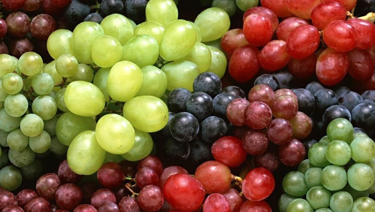 De qué hablamos cuando hablamos de taninos en vinos