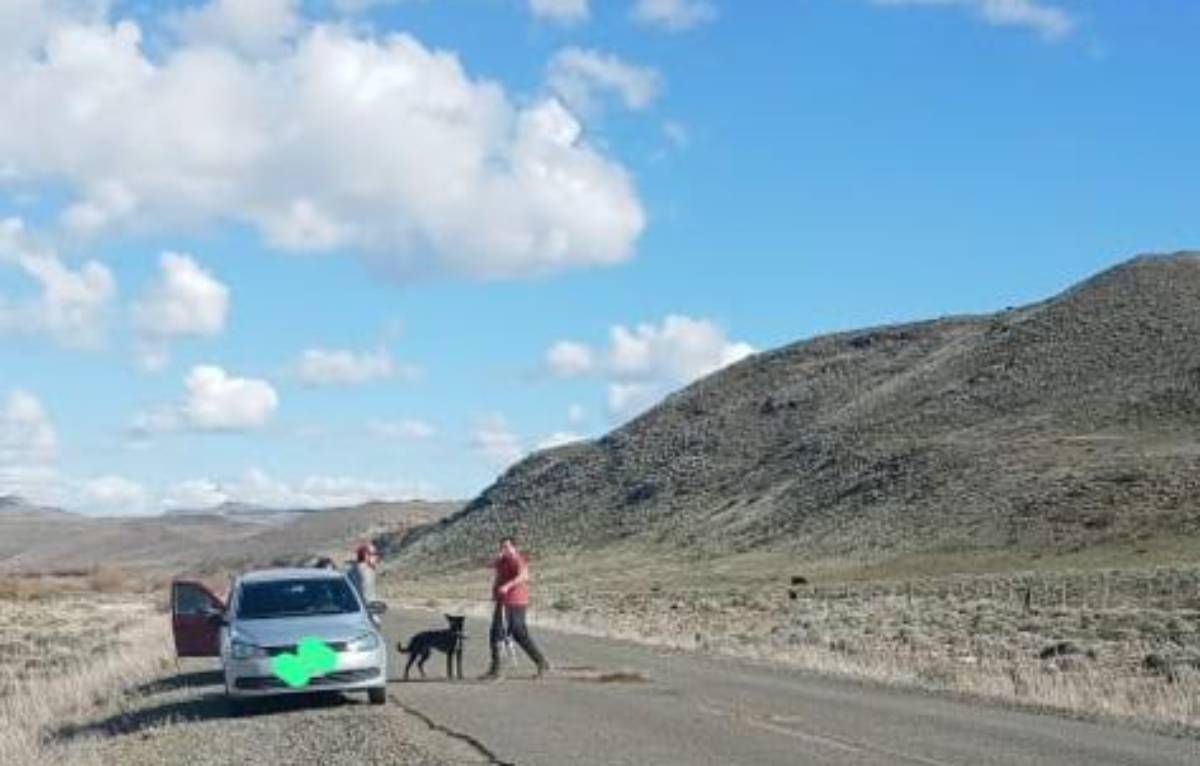La imagen viral de dos hombres que frenaron a tapar un bache en la ruta 46
