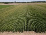 El funcionario vinculó el futuro productivo de la Patagonia con el desarrollo del riego, la llegada de capitales y una mayor apertura económica para el sector agropecuario. El funcionario vinculó el futuro productivo de la Patagonia con el desarrollo del riego, la llegada de capitales y una mayor apertura económica para el sector agropecuario.