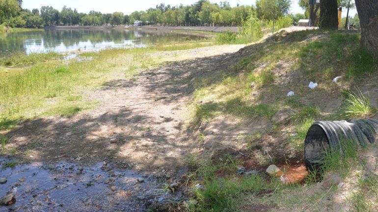 El proyecto sugiere que la UNCo se haga cargo del análisis de las aguas.