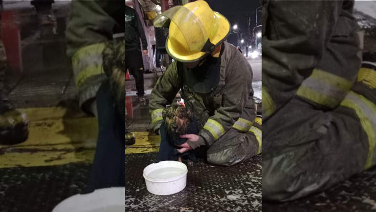 Bomberos rescataron un perro entre las llamas y el humo de un incendio