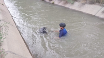 Un policía salvó a un perro que era arrastrado por el agua. Un policía salvó a un perro que era arrastrado por el agua.